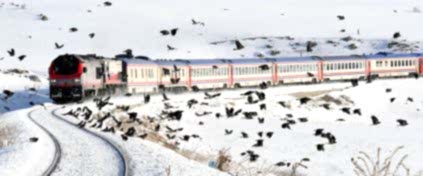 Kayseri Çıkışlı Turlar