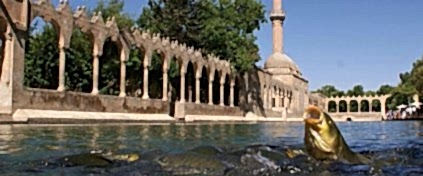 Kayseri Çıkışlı Turlar