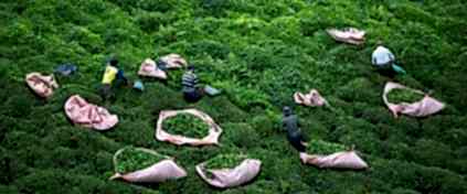 Kayseri Çıkışlı Turlar